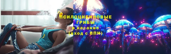 крисы Пересвет