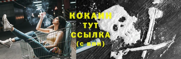 спиды Богданович