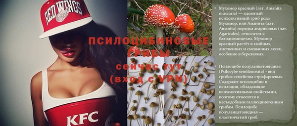 кристаллы Богородицк